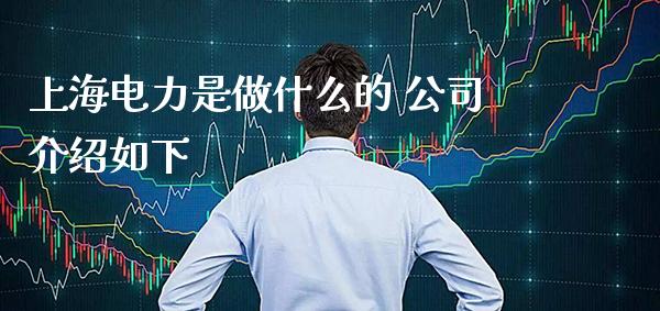 上海电力是做什么的 公司介绍如下_https://www.londai.com_股票投资_第1张